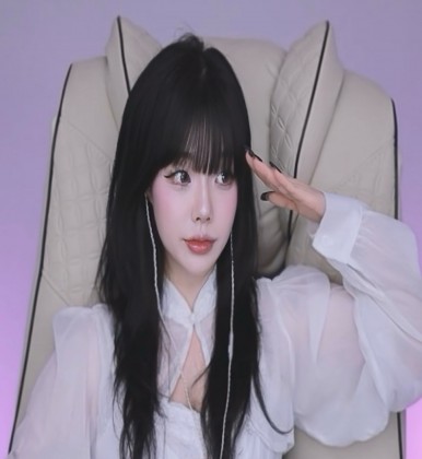 스트리머 로고