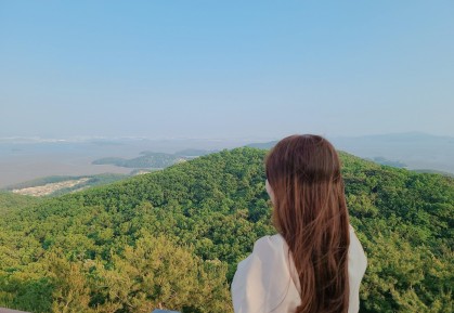스트리머 로고