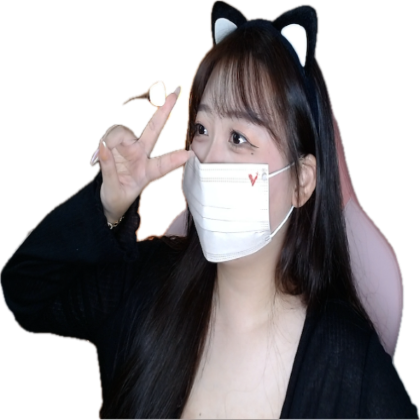 스트리머 로고