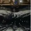 킹콩콩