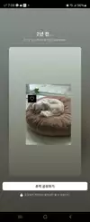 바리..