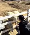 시우멍