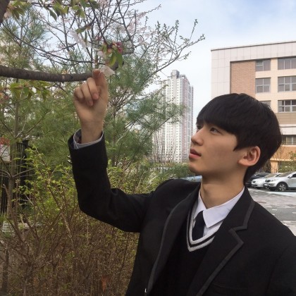 스트리머 로고