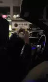 이코인