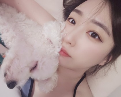 스트리머 로고