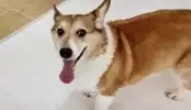 누구나12