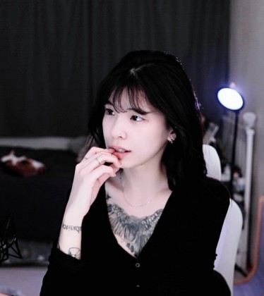 스트리머 로고