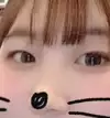 똥때리니