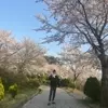 햇살미