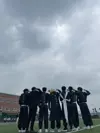 강비니