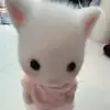댕둥이야오