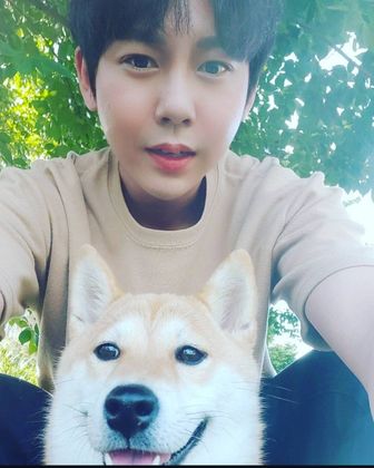 스트리머 로고