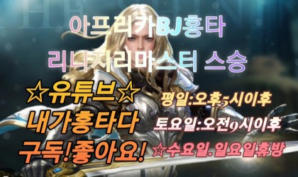 스트리머 로고