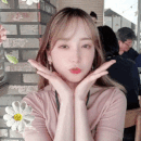 스트리머 로고