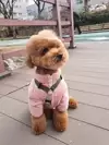 저드☆