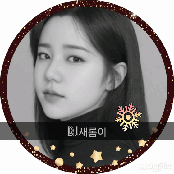 스트리머 로고