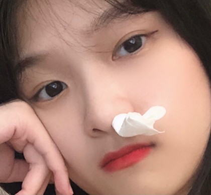 스트리머 로고