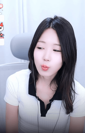 스트리머 로고