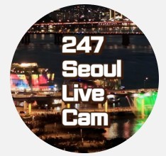 스트리머 로고