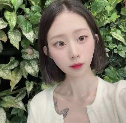 스트리머 로고