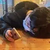 무댕