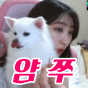 스트리머 로고