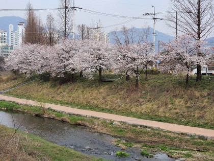 스트리머 로고