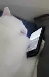 신민지☆