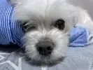 눈물_sw