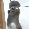 잔디_