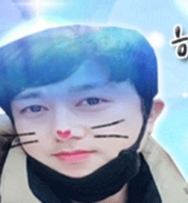 스트리머 로고