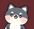 #도꼬