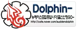 돌핀플레이