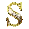 《Ｓ》