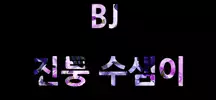 진퉁수샘이*