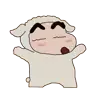 주보.