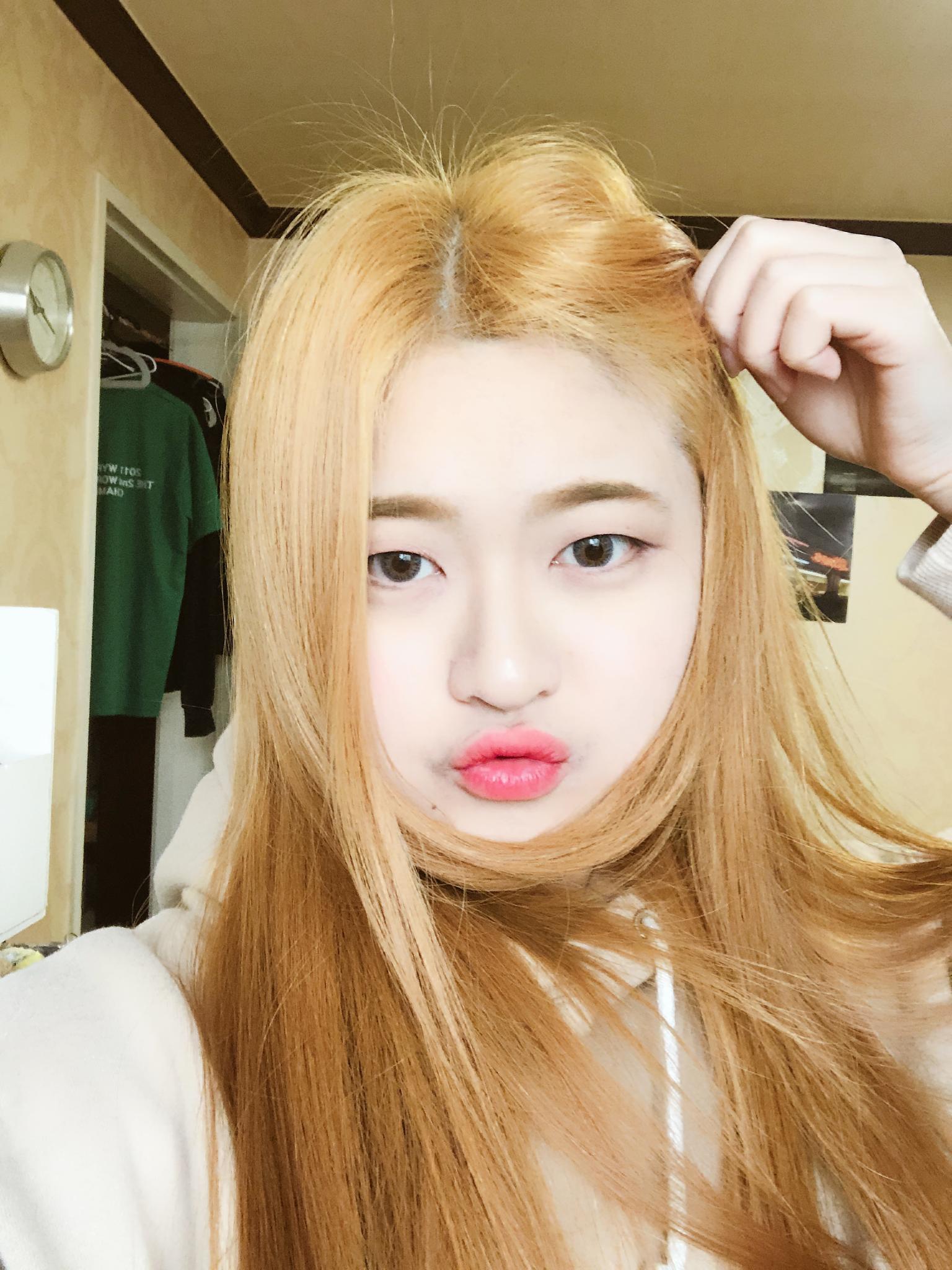스트리머 로고