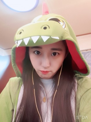 스트리머 로고