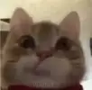 뱅순
