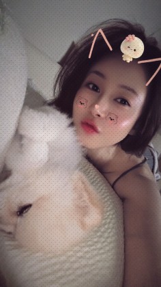 스트리머 로고