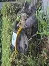 사회적문제