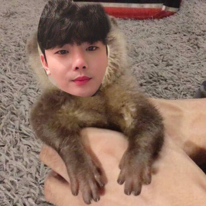 스트리머 로고