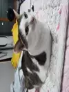 승철2