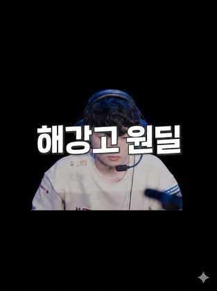 스트리머 로고