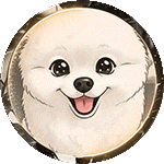 Streamer Logo