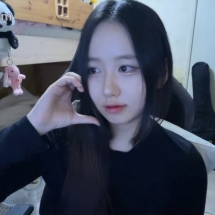 스트리머 로고