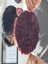 지토이