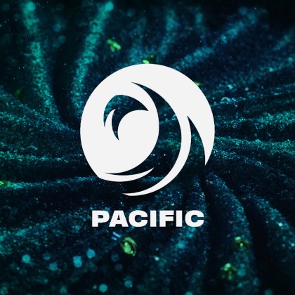 Streamer Logo