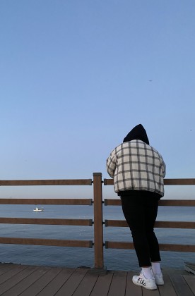 스트리머 로고