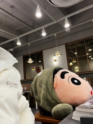 스트리머 로고